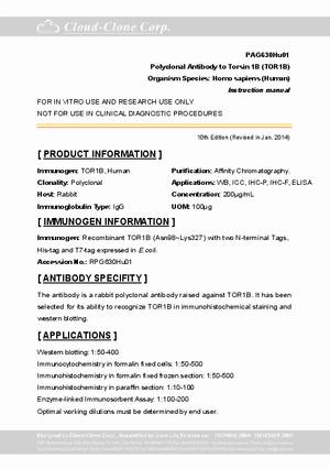 Polyclonal-Antibody-to-Torsin-1B--TOR1B--PAG630Hu01.pdf