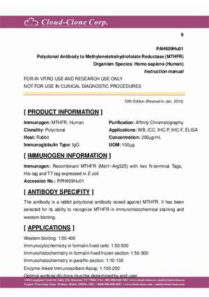 Polyclonal-Antibody-to-Methylenetetrahydrofolate-Reductase--MTHFR--PAH609Hu01.pdf