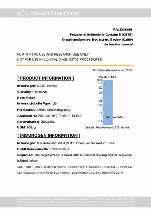 Antibody-to-Cystatin-B--CSTB--A98322Bo01.pdf