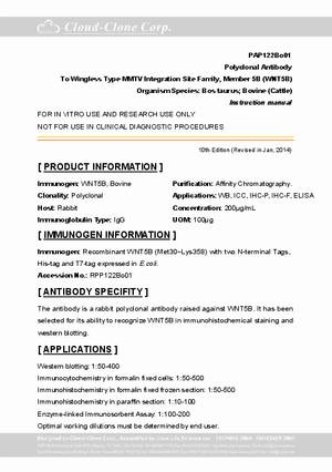 Polyclonal-Antibody-to-Wingless-Type-MMTV-Integration-Site-Family--Member-5B--WNT5B--PAP122Bo01.pdf