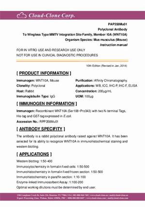 Polyclonal-Antibody-to-Wingless-Type-MMTV-Integration-Site-Family--Member-10A--WNT10A--PAP358Mu01.pdf
