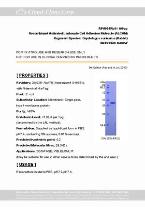 Activated-Leukocyte-Cell-Adhesion-Molecule--ALCAM--rP90002Rb01.pdf