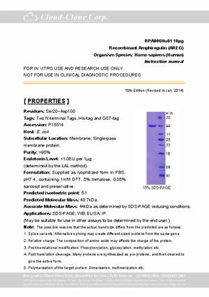 Amphiregulin--AREG--P90006Hu01.pdf