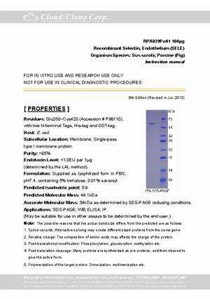 Selectin--Endothelium--SELE--P90029Po01.pdf