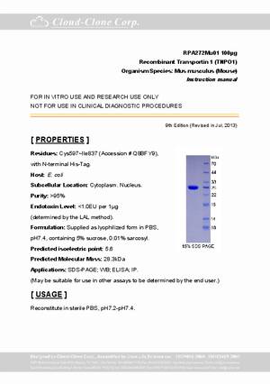 Transportin-1--TNPO1--P90272Mu01.pdf