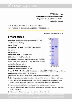 Alpha-Fodrin--SPTAN1--P90292Ga03.pdf