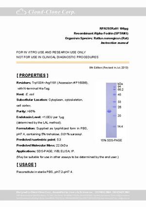 Alpha-Fodrin--SPTAN1--P90292Ra01.pdf