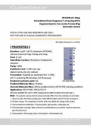 Heme-Oxygenase-1--Decycling--HO1--P90584Po01.pdf