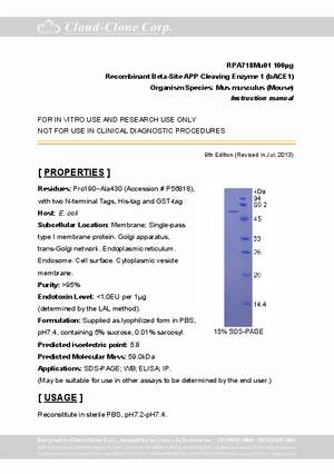 Beta-Site-APP-Cleaving-Enzyme-1--bACE1--rP90718Mu01.pdf