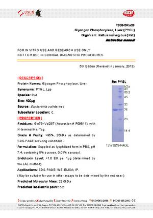 Glycogen-Phosphorylase--Liver--PYGL--P90849Ra03.pdf