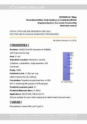 Nitric-Oxide-Synthase-3--Endothelial--NOS3--rP90868Po01.pdf