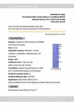 Nitric-Oxide-Synthase-3--Endothelial--NOS3--rP90868Po02.pdf