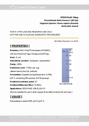 Actin-Gamma-1--ACTg1--rP91391Hu02.pdf