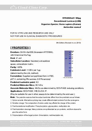 Lumican--LUM--P91496Hu01.pdf