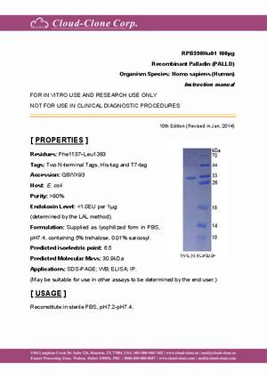 Recombinant-Palladin--PALLD--RPB590Hu01.pdf