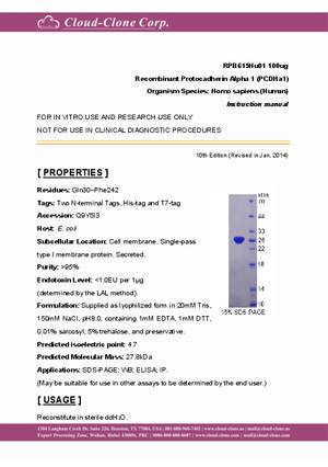 Recombinant-Protocadherin-Alpha-1--PCDHa1--RPB615Hu01.pdf