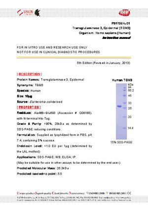 Transglutaminase-3--Epidermal--TGM3--P91756Hu01.pdf