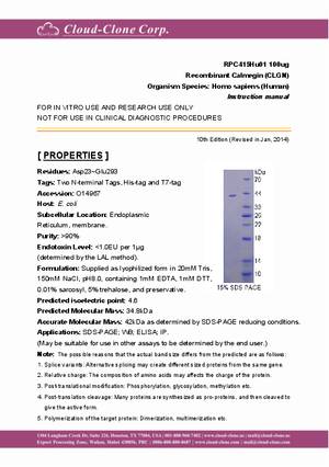 Recombinant-Calmegin-(CLGN)-RPC415Hu01.pdf