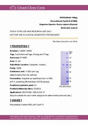 Recombinant-Cyclin-B--CCNB--RPD264Hu01.pdf