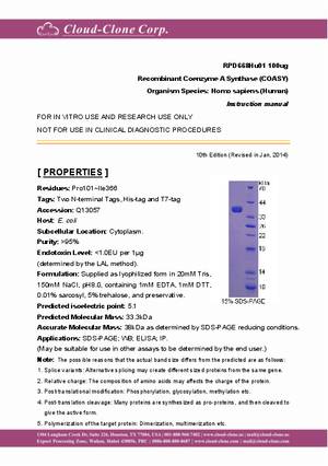 Recombinant-Coenzyme-A-Synthase-(COASY)-RPD668Hu01.pdf