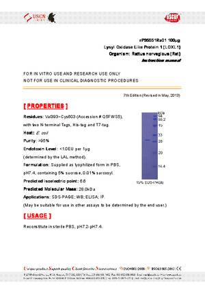 Lysyl-Oxidase-Like-Protein-1--LOXL1--rP95551Ra01.pdf