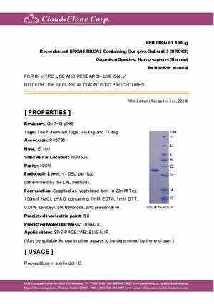 Recombinant-BRCA1-BRCA2-Containing-Complex-Subunit-3--BRCC3--RPN348Hu01.pdf