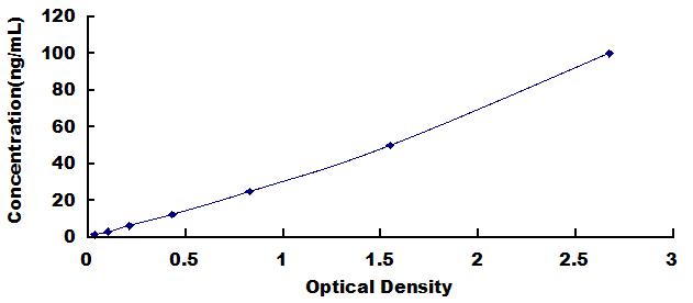 ELISA Kit for Anti-Aquaporin 4 Antibody (Anti-AQP4)