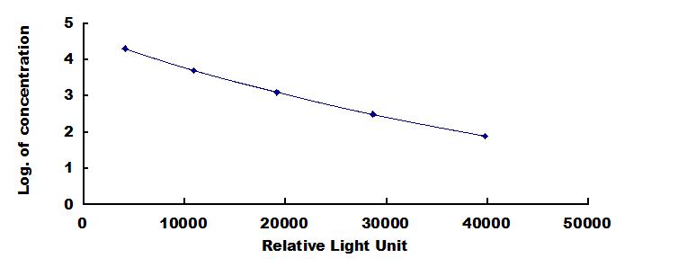 CEA152Ge.jpg