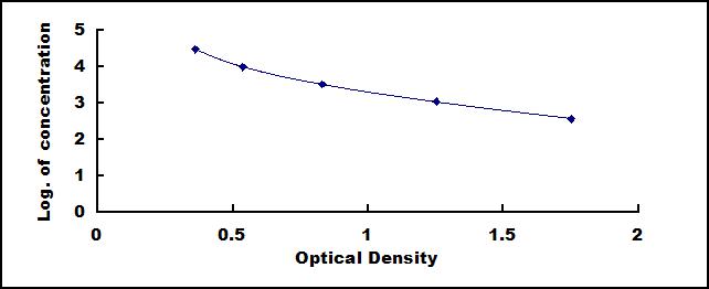 CEA248Ge.jpg