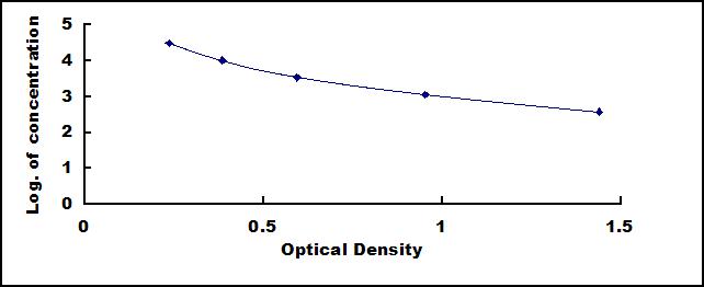 CEA441Rb.jpg