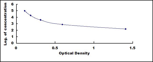 CEB028Eq.jpg