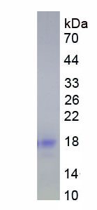 EPA077Bo61.jpg