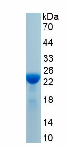 EPA850Mu62.jpg