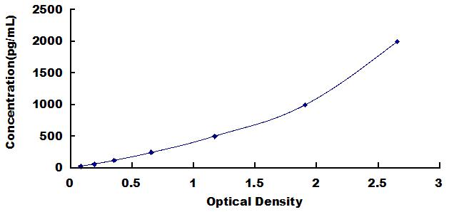 High Sensitive ELISA Kit for Caspase 3 (CASP3)