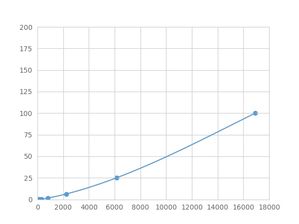 LMB290Hu.jpg