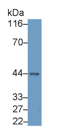 MAB342Mi24.jpg