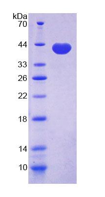 RPA304Bo01.jpg