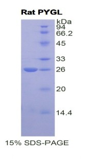 RPA849Ra03.jpg