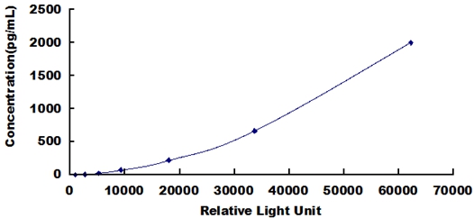 SCA029Ra.jpg