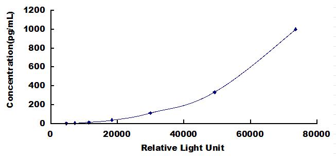 SCA056Mu.jpg