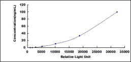 SCA069Ra.jpg