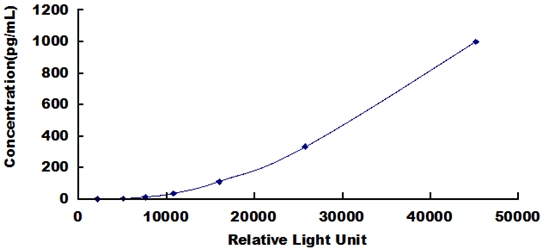 SCA077Ra.jpg