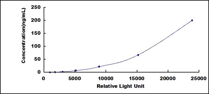 SCA388Ra.jpg