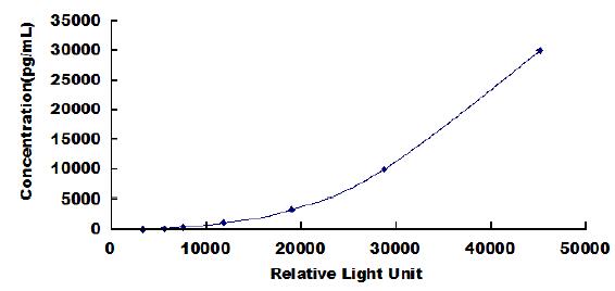 CLIA Kit for Matrix Metalloproteinase 9 (MMP9)