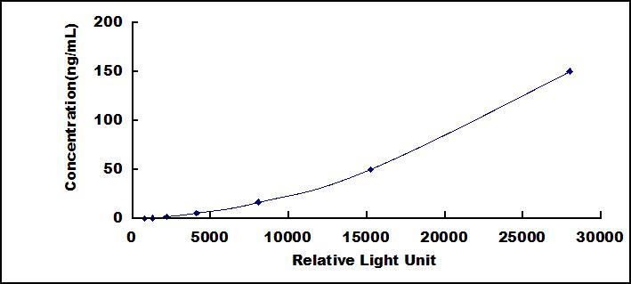 SCB006Hu.jpg