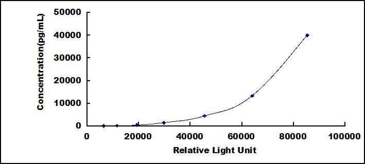 SCB650Mu.jpg