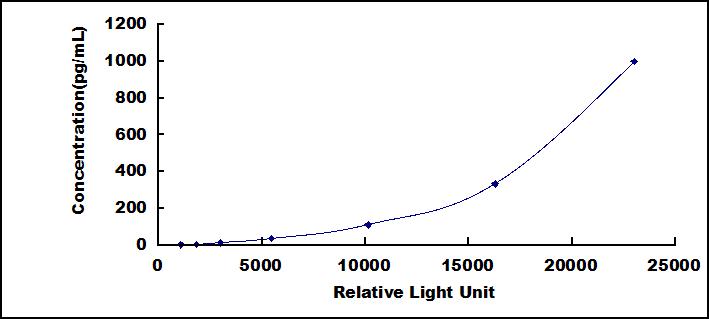 SCB689Mu.jpg