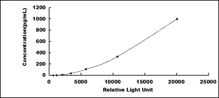 SCB949Po.jpg