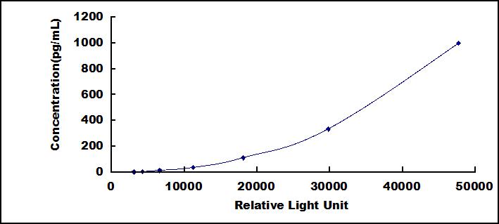 SCC113Ra.jpg