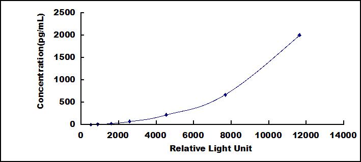 SCD206Hu.jpg